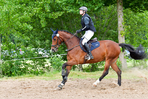 Goldene Schärpe PFerde  in Löningen  11+12.6.22 | 11062022 - Gelände 794 Abt 