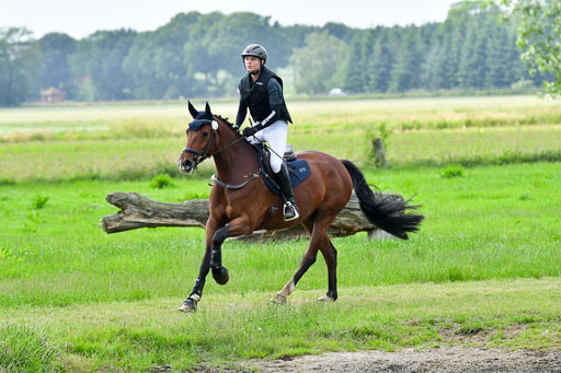 Goldene Schärpe PFerde  in Löningen  11+12.6.22 | 11062022 - Gelände 811 Abt 