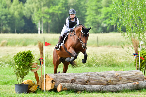 Goldene Schärpe PFerde  in Löningen  11+12.6.22 | 11062022 - Gelände 815 Abt 