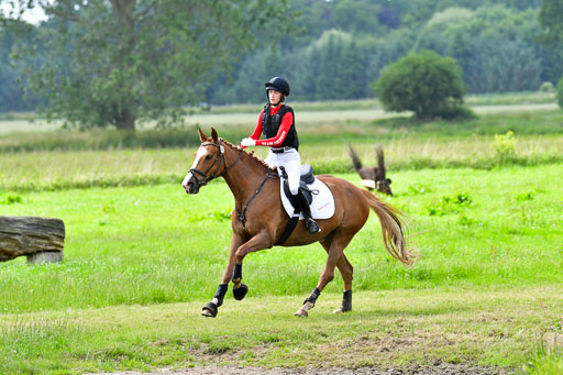 Goldene Schärpe PFerde  in Löningen  11+12.6.22 | 11062022 - Gelände 908 Abt 