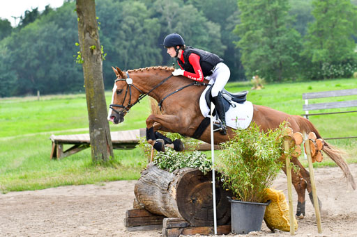 Goldene Schärpe PFerde  in Löningen  11+12.6.22 | 11062022 - Gelände 910 Abt 