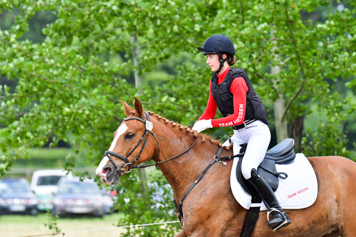 Goldene Schärpe PFerde  in Löningen  11+12.6.22 | 11062022 - Gelände 914 Abt 