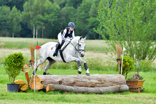 Goldene Schärpe PFerde  in Löningen  11+12.6.22 | 11062022 - Gelände 916 Abt 