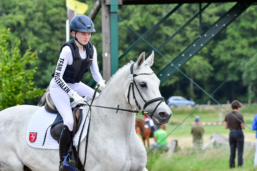 Goldene Schärpe PFerde  in Löningen  11+12.6.22 | 11062022 - Gelände 918 Abt 