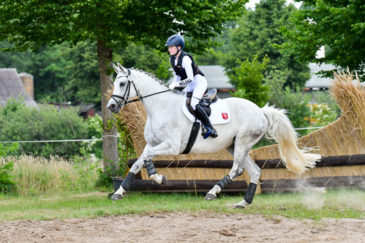 Goldene Schärpe PFerde  in Löningen  11+12.6.22 | 11062022 - Gelände 919 Abt 