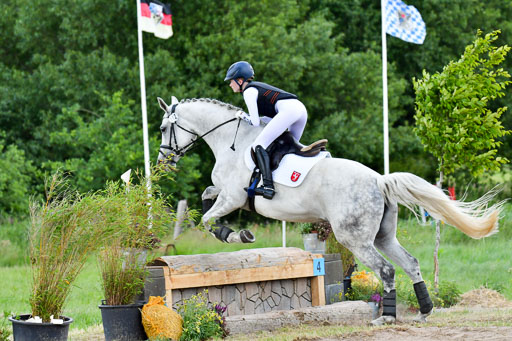Goldene Schärpe PFerde  in Löningen  11+12.6.22 | 11062022 - Gelände 921 Abt 