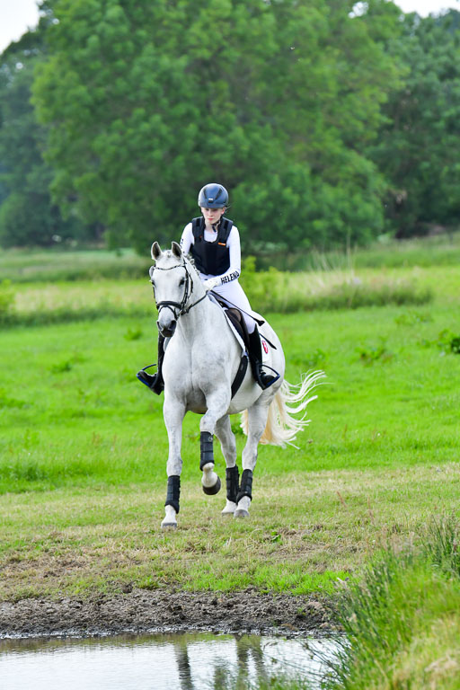 Goldene Schärpe PFerde  in Löningen  11+12.6.22 | 11062022 - Gelände 922 Abt 