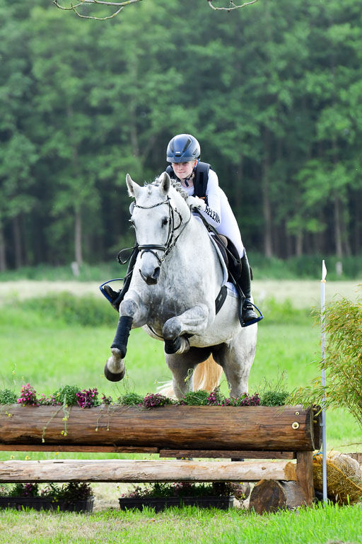 Goldene Schärpe PFerde  in Löningen  11+12.6.22 | 11062022 - Gelände 929 Abt 