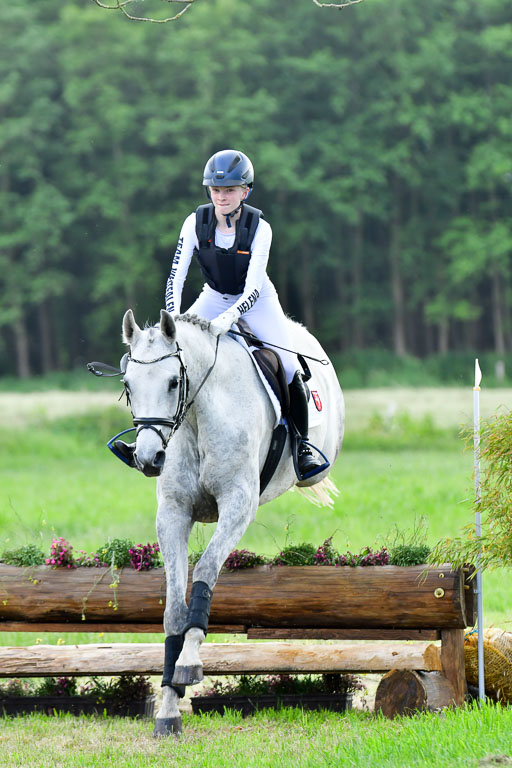 Goldene Schärpe PFerde  in Löningen  11+12.6.22 | 11062022 - Gelände 930 Abt 