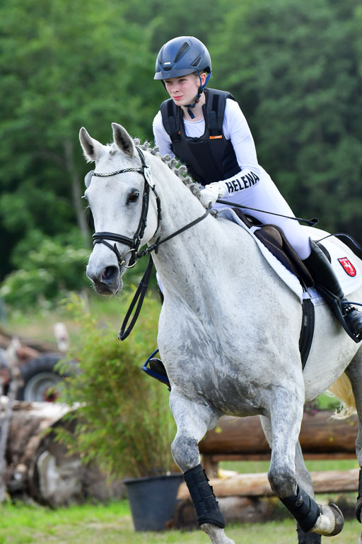 Goldene Schärpe PFerde  in Löningen  11+12.6.22 | 11062022 - Gelände 931 Abt 