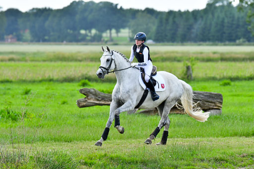 Goldene Schärpe PFerde  in Löningen  11+12.6.22 | 11062022 - Gelände 932 Abt 