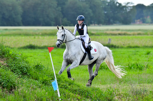 Goldene Schärpe PFerde  in Löningen  11+12.6.22 | 11062022 - Gelände 933 Abt 