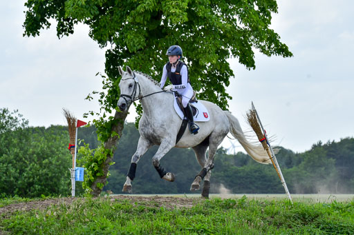 Goldene Schärpe PFerde  in Löningen  11+12.6.22 | 11062022 - Gelände 934 Abt 