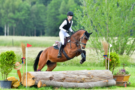 Goldene Schärpe PFerde  in Löningen  11+12.6.22 | 11062022 - Gelände 938 Abt 