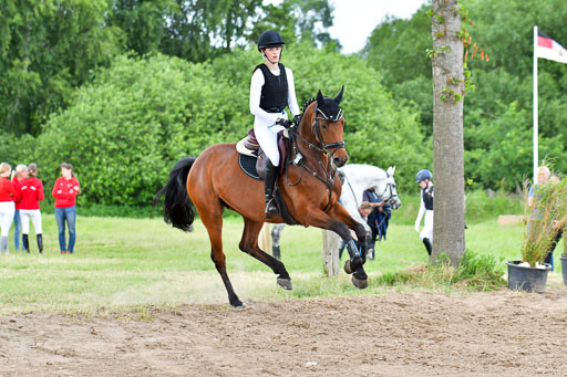 Goldene Schärpe PFerde  in Löningen  11+12.6.22 | 11062022 - Gelände 940 Abt 
