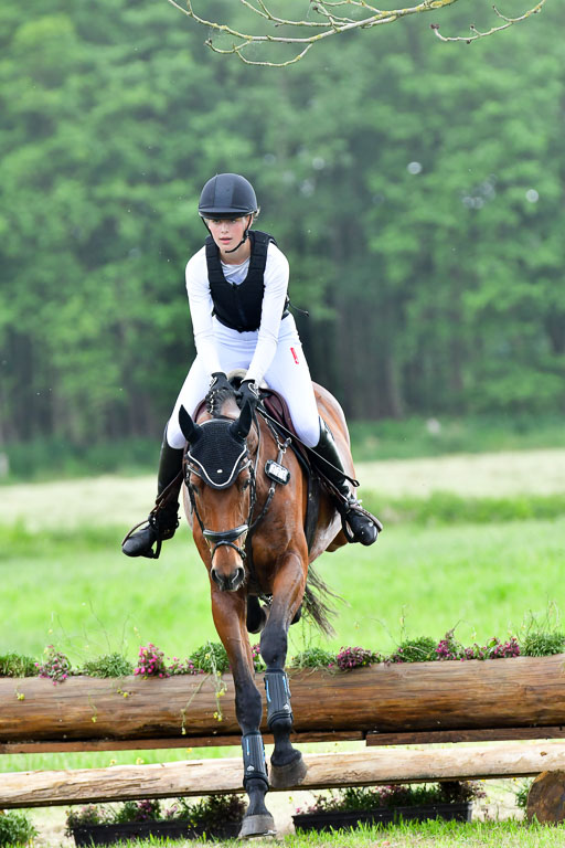 Goldene Schärpe PFerde  in Löningen  11+12.6.22 | 11062022 - Gelände 946 Abt 