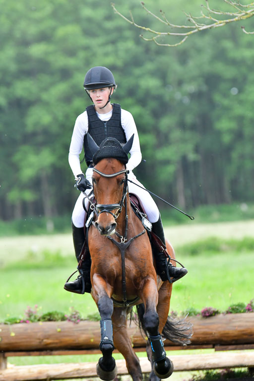 Goldene Schärpe PFerde  in Löningen  11+12.6.22 | 11062022 - Gelände 947 Abt 