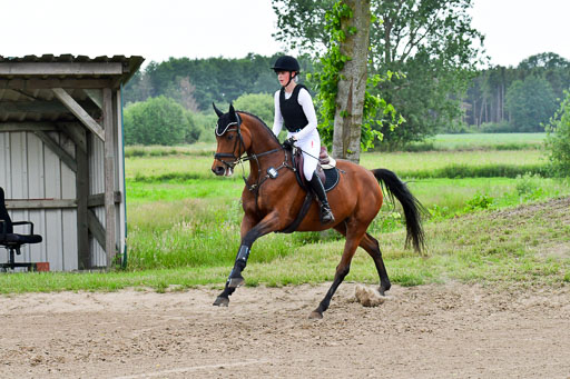 Goldene Schärpe PFerde  in Löningen  11+12.6.22 | 11062022 - Gelände 950 Abt 