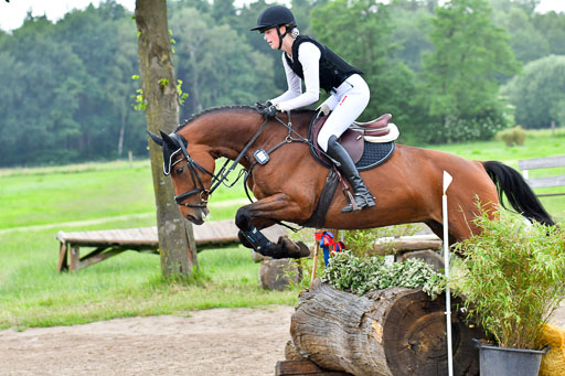 Goldene Schärpe PFerde  in Löningen  11+12.6.22 | 11062022 - Gelände 951 Abt 