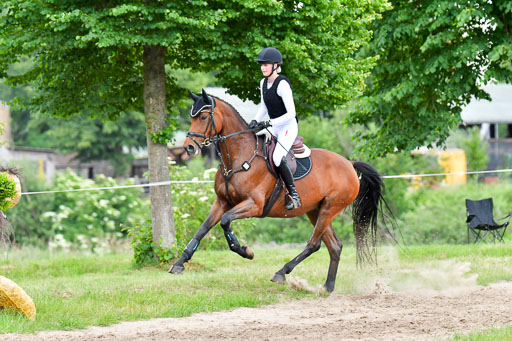 Goldene Schärpe PFerde  in Löningen  11+12.6.22 | 11062022 - Gelände 952 Abt 