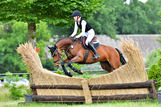 Goldene Schärpe PFerde  in Löningen  11+12.6.22 | 11062022 - Gelände 953 Abt 