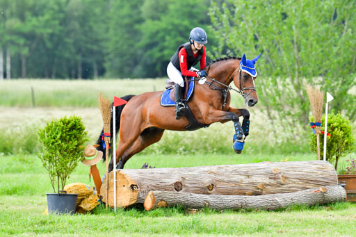Goldene Schärpe PFerde  in Löningen  11+12.6.22 | 11062022 - Gelände 955 Abt 