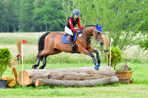 Goldene Schärpe PFerde  in Löningen  11+12.6.22 | 11062022 - Gelände 956 Abt 