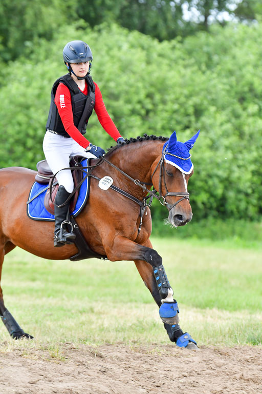 Goldene Schärpe PFerde  in Löningen  11+12.6.22 | 11062022 - Gelände 957 Abt 