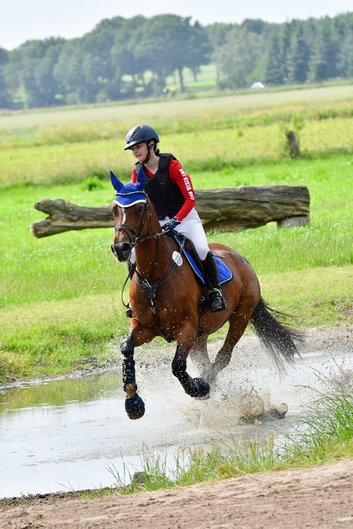Goldene Schärpe PFerde  in Löningen  11+12.6.22 | 11062022 - Gelände 959 Abt 