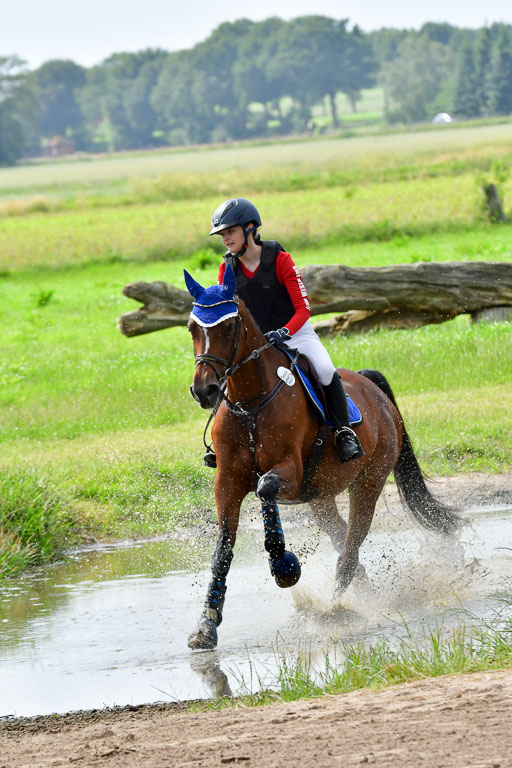 Goldene Schärpe PFerde  in Löningen  11+12.6.22 | 11062022 - Gelände 960 Abt 