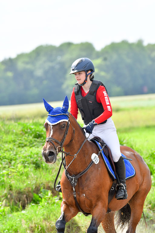 Goldene Schärpe PFerde  in Löningen  11+12.6.22 | 11062022 - Gelände 963 Abt 