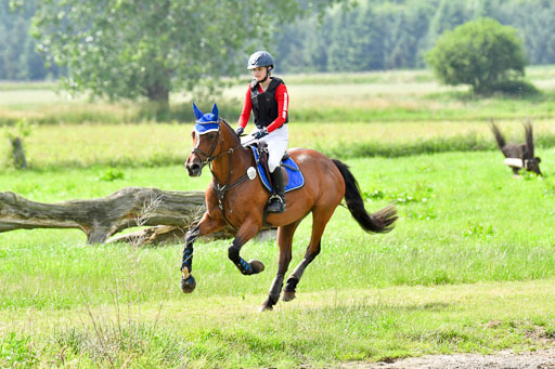 Goldene Schärpe PFerde  in Löningen  11+12.6.22 | 11062022 - Gelände 968 Abt 