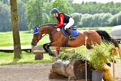 Goldene Schärpe PFerde  in Löningen  11+12.6.22 | 11062022 - Gelände 971 Abt 