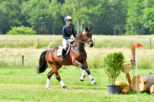 Goldene Schärpe PFerde  in Löningen  11+12.6.22 | 11062022 - Gelände 975 Abt 