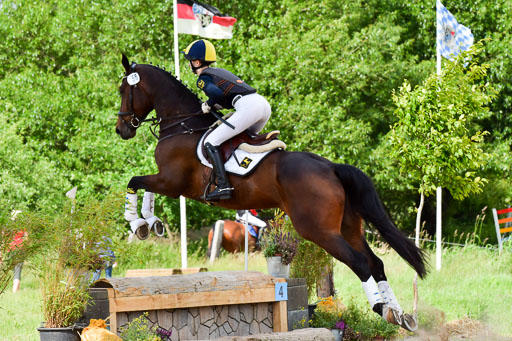 Goldene Schärpe PFerde  in Löningen  11+12.6.22 | 11062022 - Gelände 977 Abt 