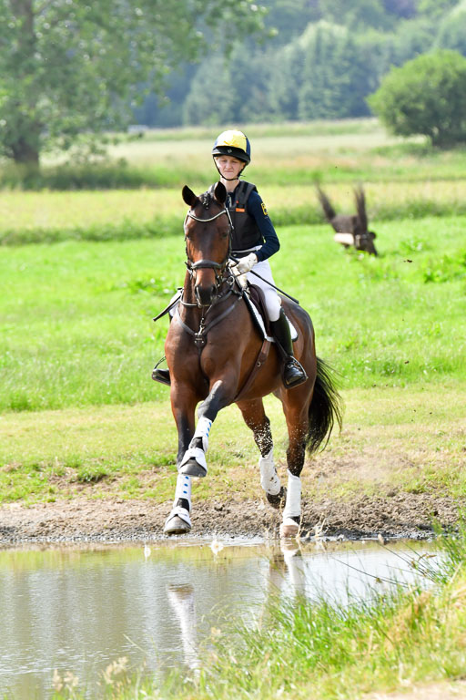 Goldene Schärpe PFerde  in Löningen  11+12.6.22 | 11062022 - Gelände 979 Abt 