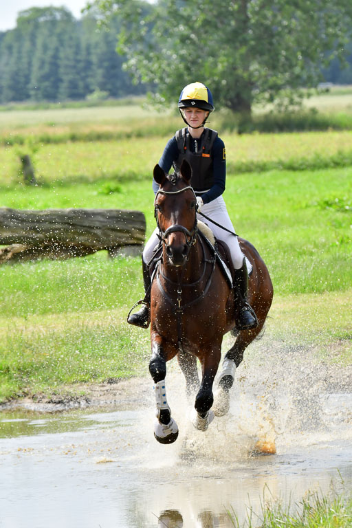 Goldene Schärpe PFerde  in Löningen  11+12.6.22 | 11062022 - Gelände 982 Abt 