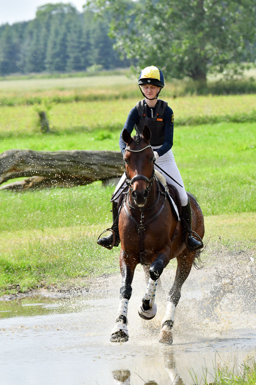 Goldene Schärpe PFerde  in Löningen  11+12.6.22 | 11062022 - Gelände 983 Abt 