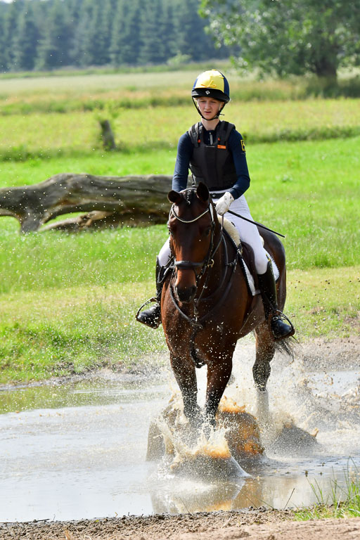 Goldene Schärpe PFerde  in Löningen  11+12.6.22 | 11062022 - Gelände 984 Abt 