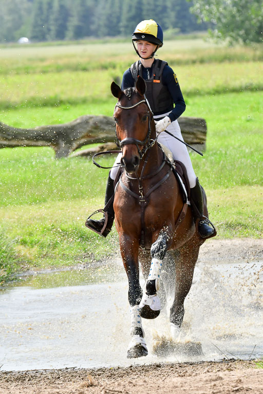 Goldene Schärpe PFerde  in Löningen  11+12.6.22 | 11062022 - Gelände 986 Abt 