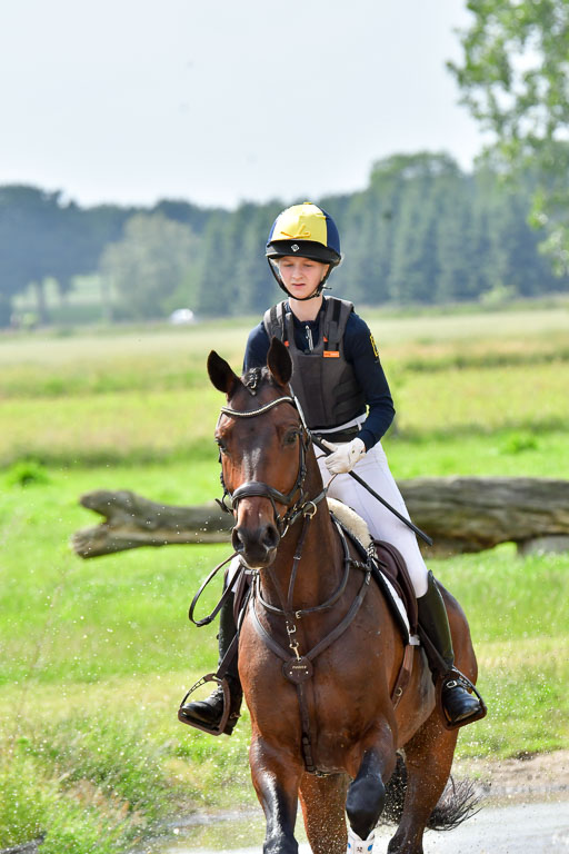 Goldene Schärpe PFerde  in Löningen  11+12.6.22 | 11062022 - Gelände 987 Abt 