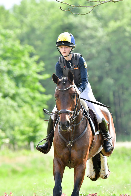 Goldene Schärpe PFerde  in Löningen  11+12.6.22 | 11062022 - Gelände 991 Abt 