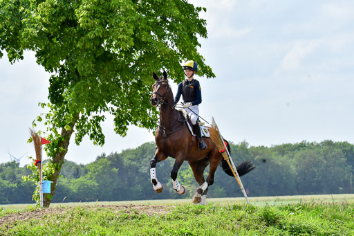 Goldene Schärpe PFerde  in Löningen  11+12.6.22 | 11062022 - Gelände 993 Abt 