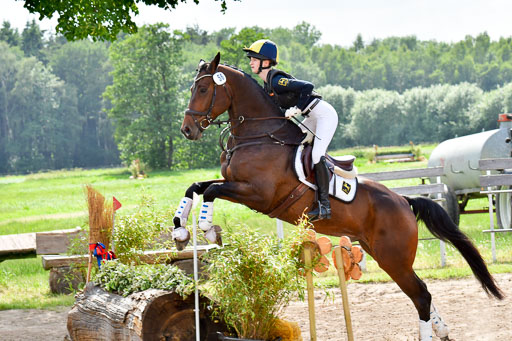 Goldene Schärpe PFerde  in Löningen  11+12.6.22 | 11062022 - Gelände 995 Abt 