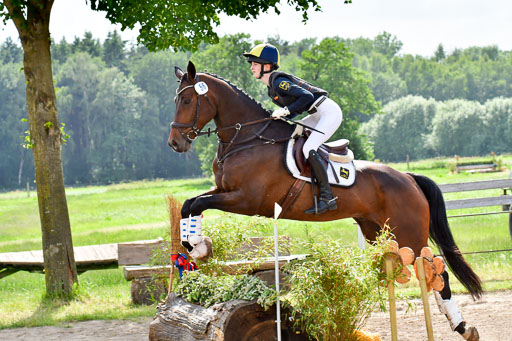 Goldene Schärpe PFerde  in Löningen  11+12.6.22 | 11062022 - Gelände 996 Abt 