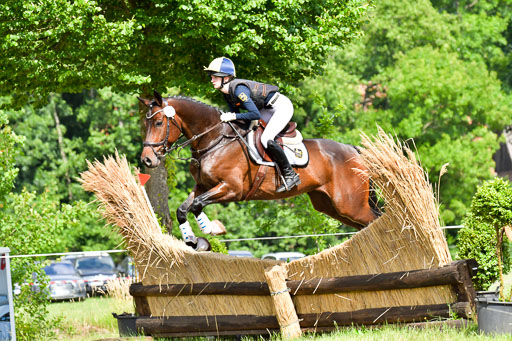 Goldene Schärpe PFerde  in Löningen  11+12.6.22 | 11062022 - Gelände 998 Abt 