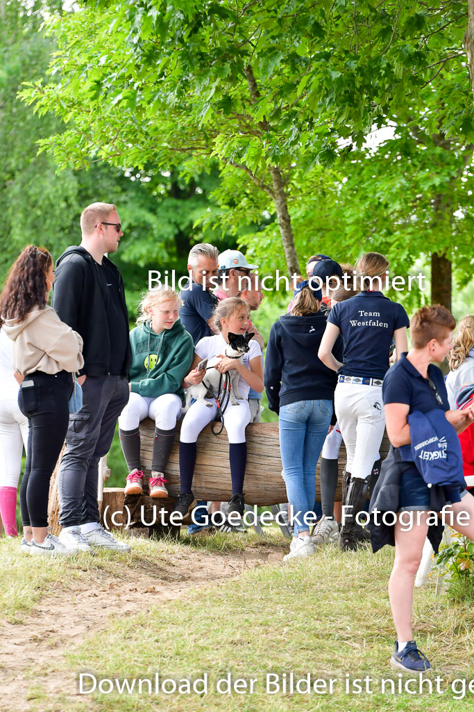 Goldene Schärpe PFerde  in Löningen  11+12.6.22 | 22062022 Impressionen_005 