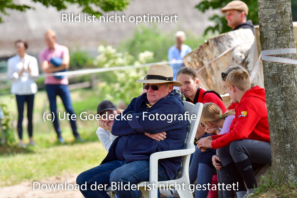 Goldene Schärpe PFerde  in Löningen  11+12.6.22 | 22062022 Impressionen_059 