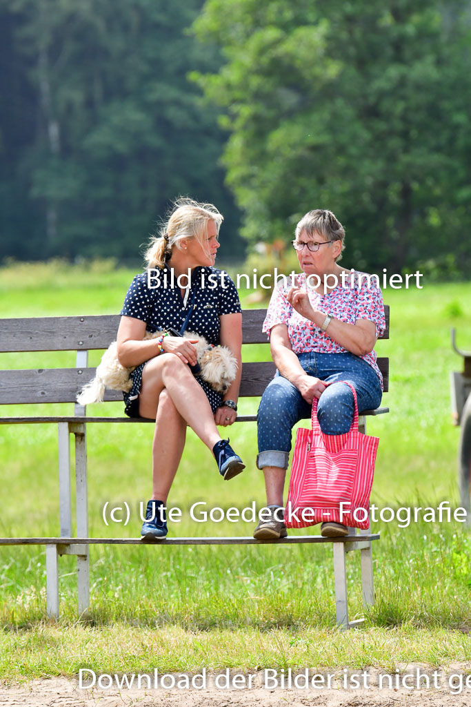 Goldene Schärpe Pferde  in Löningen  11+12.6.22 | 22062022 Impressionen_067 