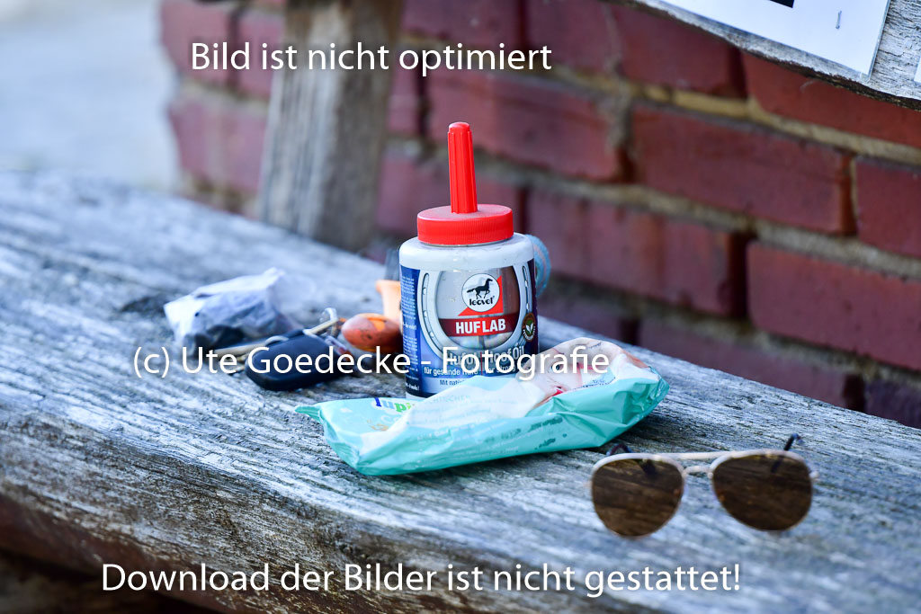 Goldene Schärpe PFerde  in Löningen  11+12.6.22 | 22062022 Impressionen_069 